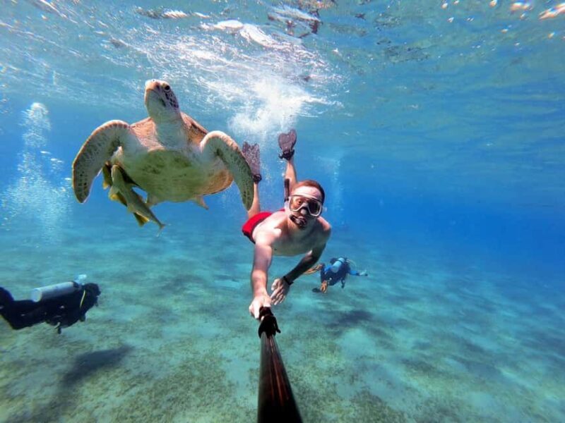 Marsa Alam: Snorkeling with Sea Turtles Marsa Mubarak - Marsa Alam: Snorkeling with Sea Turtles at Marsa Mubarak — A Detailed Review