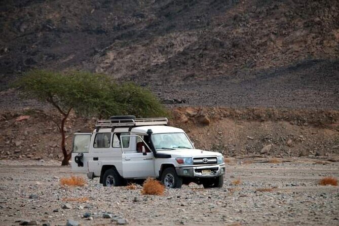 Marsa Alam Super Safari Quad, Jeep, Camel and Party with Dinner - FAQ