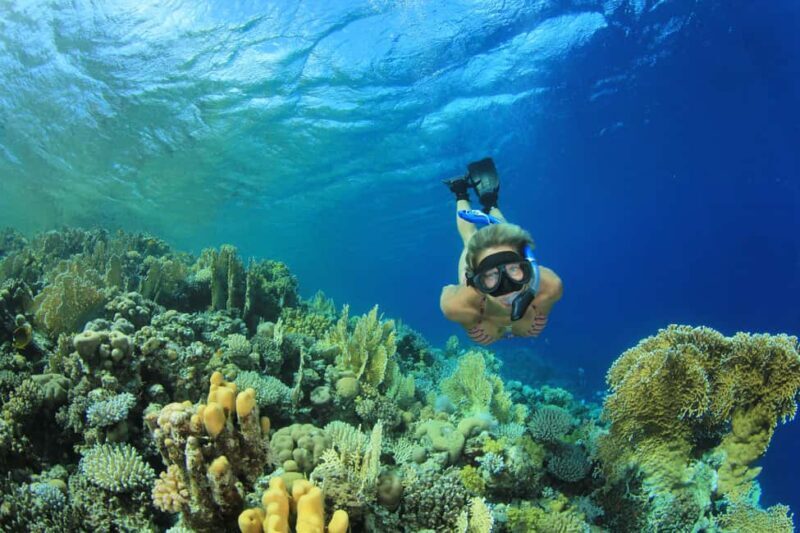 Marsa Alam:Sataya Reefs Dolphin Snorkeling Cruise with Lunch - In-Depth Review: What to Expect from the Sataya Reef Snorkeling Cruise