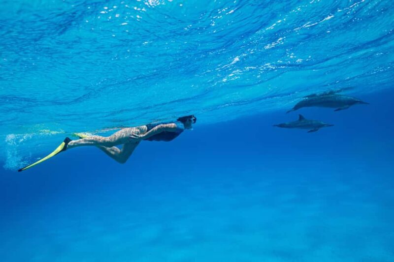 Marsa Alam:Sataya Reefs Dolphin Snorkeling Cruise with Lunch - Final Thoughts: Is It Worth It?