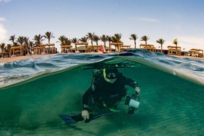 Marsa Mubarak Full Day and one intro Diving With Lunch, Transfer - Marsa Alam - The Breakdown of the Day