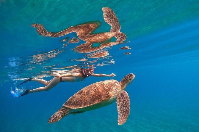 Marsa Mubarak Sea Snorkeling Boat Trip From Marsa Alam - An In-Depth Look at the Experience