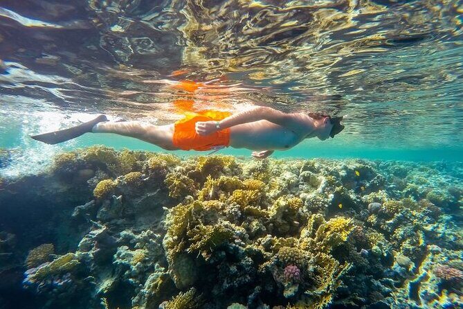 Marsa Mubarak Sea Snorkeling Boat Trip From Marsa Alam - FAQ