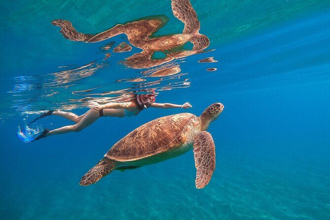 Marsa Mubarak Snorkeling Sea Trip & Transfer & Lunch  Marsa Alam - Key Points