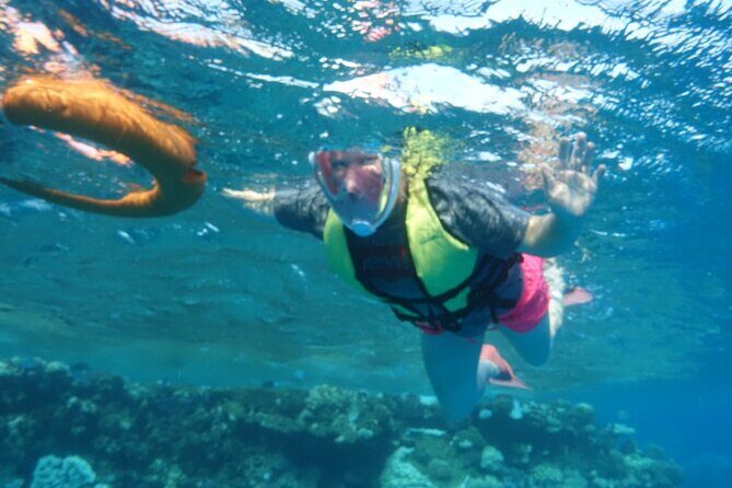 Marsa Mubarak Snorkeling Sea Trip & Transfer & Lunch  Marsa Alam - Lunch and Refreshments: Tasty or Not?
