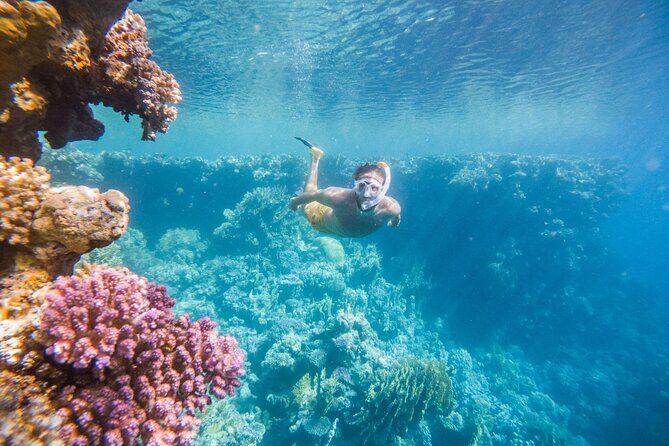 Marsa Mubarak Snorkeling Sea Trip & Transfer & Lunch  Marsa Alam - Additional Costs and Considerations