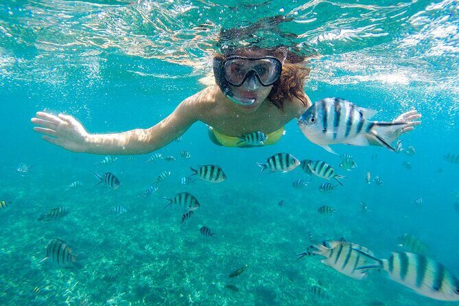 Marsa Mubarak Snorkeling Sea Trip & Transfer & Lunch  Marsa Alam - Tips for a Smooth Experience