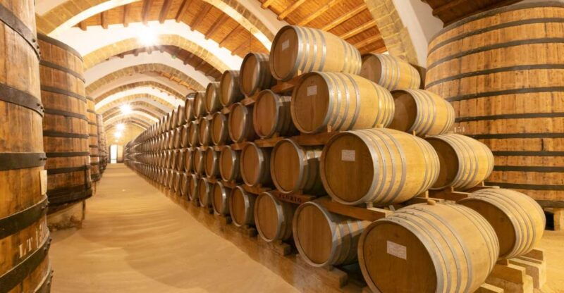 marsala-florio-winery-tour-with-food-paired-wine-tastings