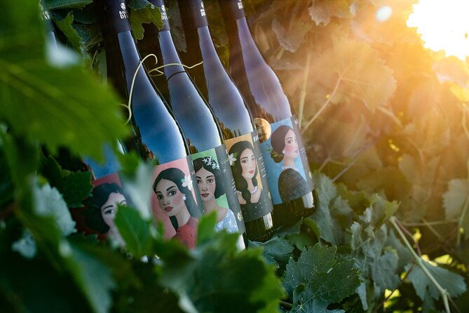 marsala-tasting-of-5-sicilian-organic-wines