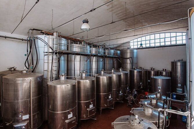 marsala-tasting-of-5-sicilian-organic-wines