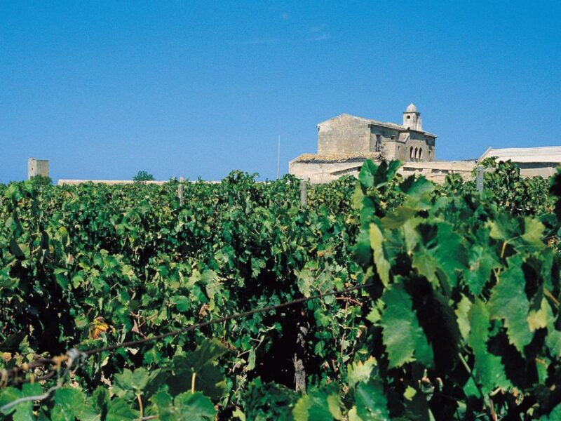 marsala-winery-tour-with-wine-tasting-and-local-products