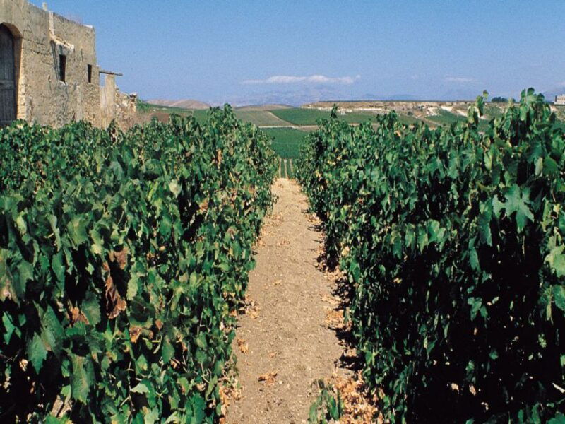 marsala-winery-tour-with-wine-tasting-and-local-products