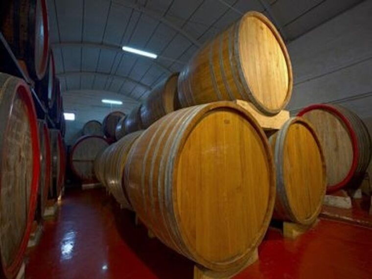 marsala-winery-tour-with-wine-tasting-and-local-products