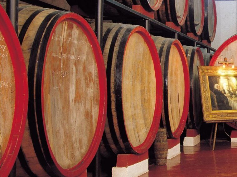 marsala-winery-tour-with-wine-tasting-and-local-products