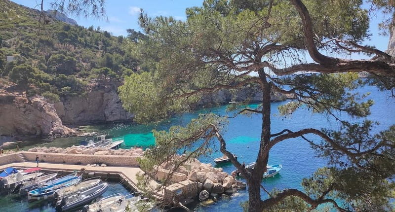 Marseille, Aix-en-Provence & Cassis 7-Hour Tour - A Closer Look at the Tour Experience