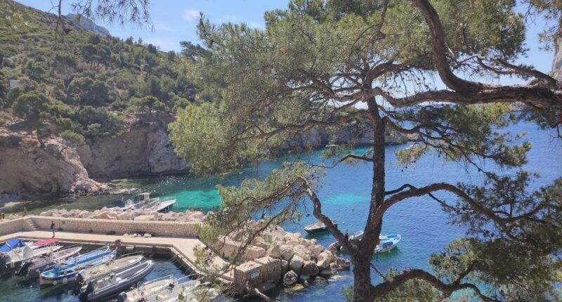 marseille-aix-en-provence-cassis-8-hour-tour