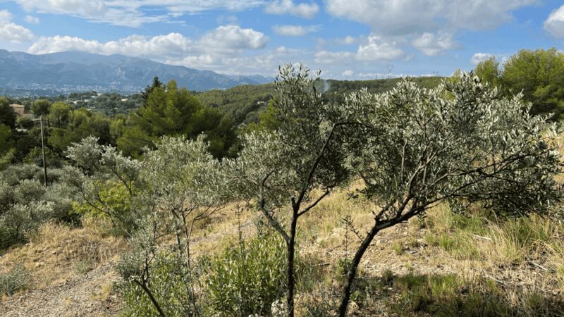 Marseille - Allauch: between tradition, history and nature - The Sum Up