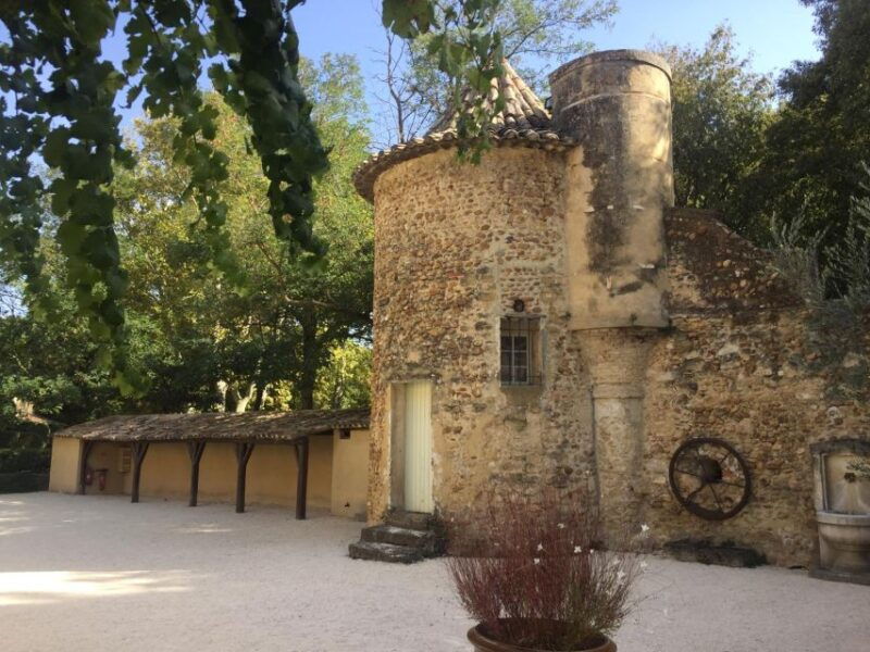 marseille-avignon-and-cotes-du-rhone-wine-tasting-tour