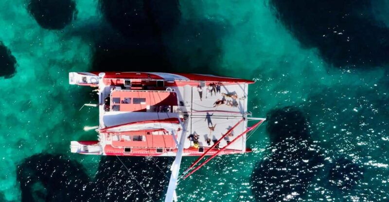 marseille-calanques-catamaran-cruise-with-lunch-wine