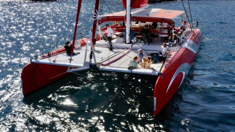 marseille-calanques-catamaran-cruise-with-lunch-wine