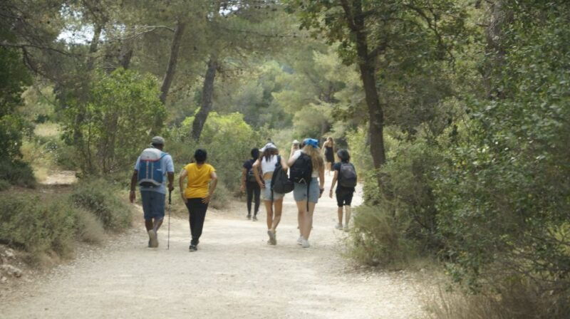marseille-calanques-national-park-guided-hike-with-picnic
