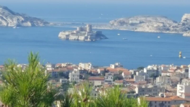 marseille-city-tour-half-day