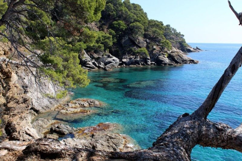 marseille-day-boat-ride-in-the-calanques-with-wine-tasting