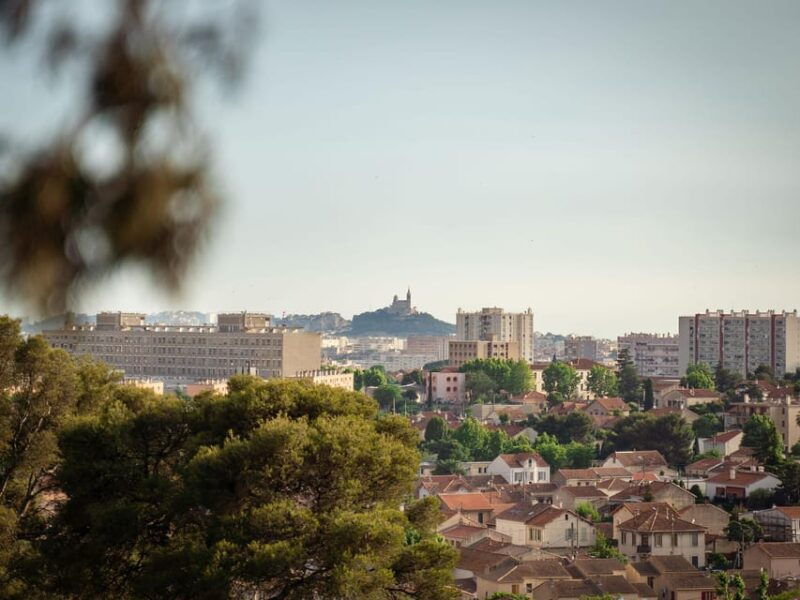marseille-ecopark-adventures-treetop-adventure
