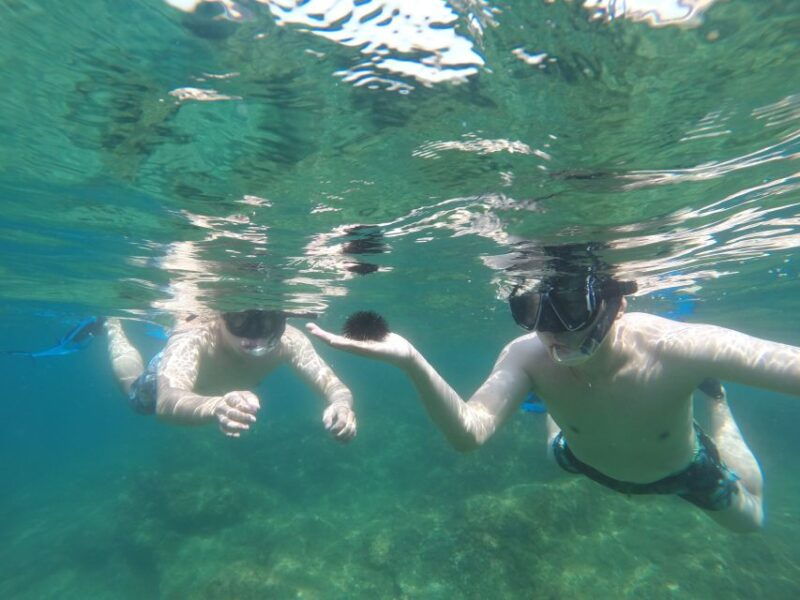 marseille-endoume-snorkeling-adventure-with-snacks-drinks