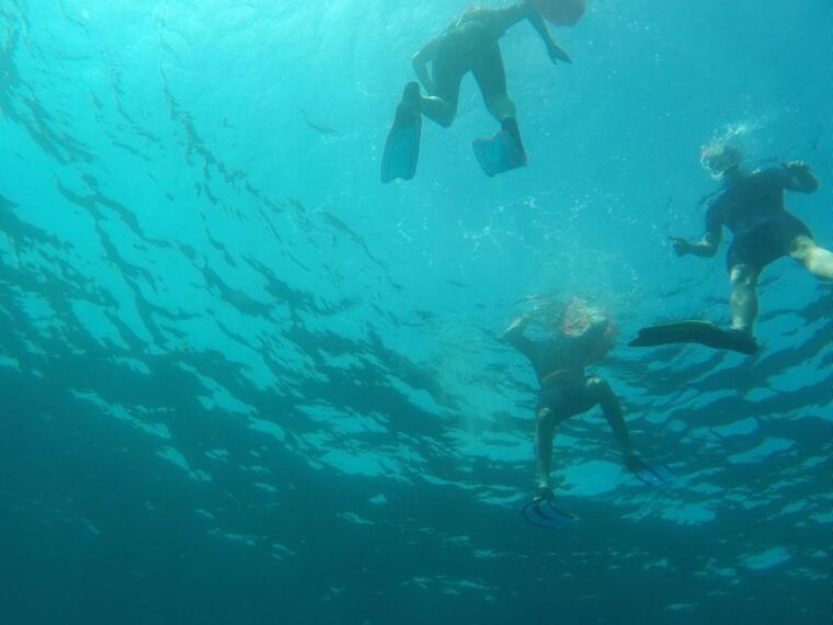marseille-endoume-snorkeling-adventure-with-snacks-drinks