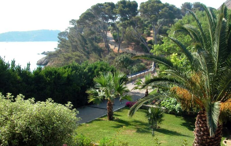 Marseille: La Ciotat Cinema & Nature Half Day Trip - Practical Details and What to Expect