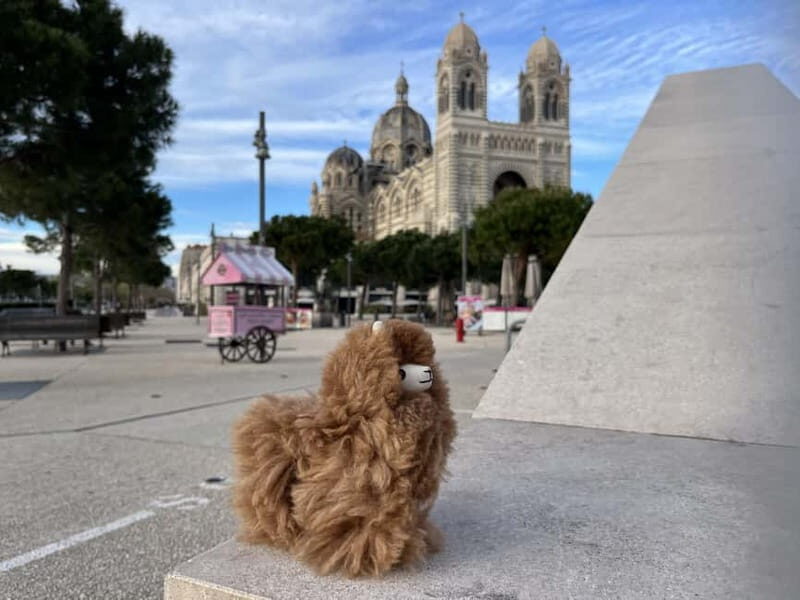 Marseille: Private Customised Walking 2-Hour Tour - What Makes This Tour Stand Out?