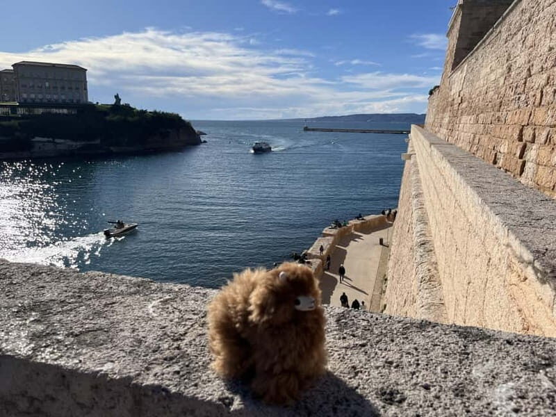Marseille: Private Customised Walking 2-Hour Tour - Optional Add-Ons: Maritime Adventures & Nature Escapes