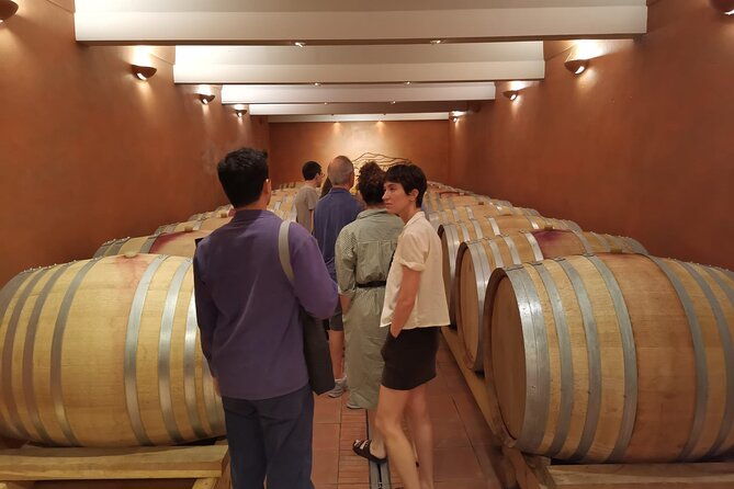 marseille-shore-excursion-full-day-wine-tour-in-provence