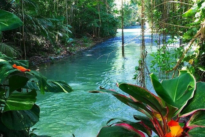 martha-brae-rafting-adventure