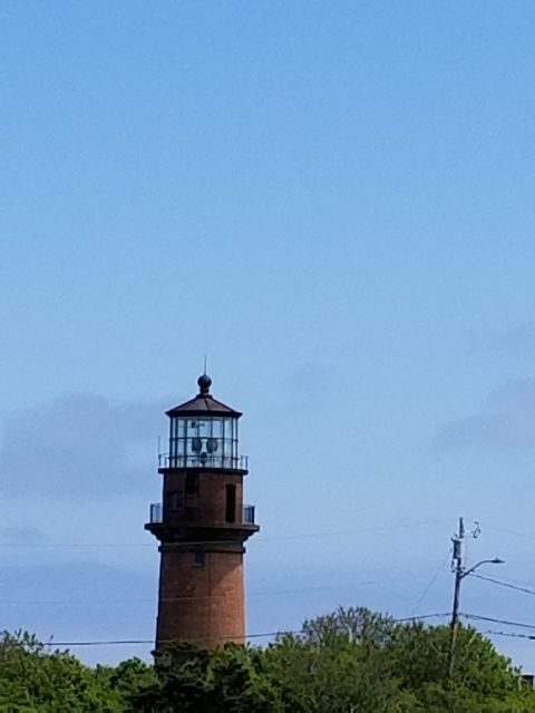 Martha's Vineyard: All Island Tour - Transportation & Practicalities