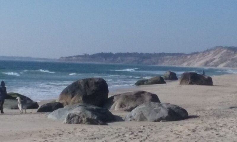 marthas-vineyard-all-island-tour