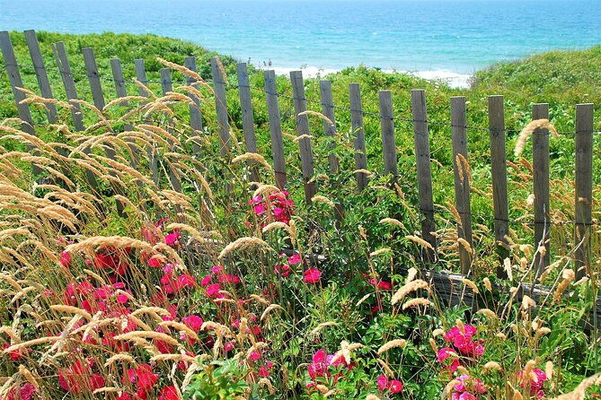 marthas-vineyard-daytrip-from-boston-with-round-trip-ferry-island-tour-option