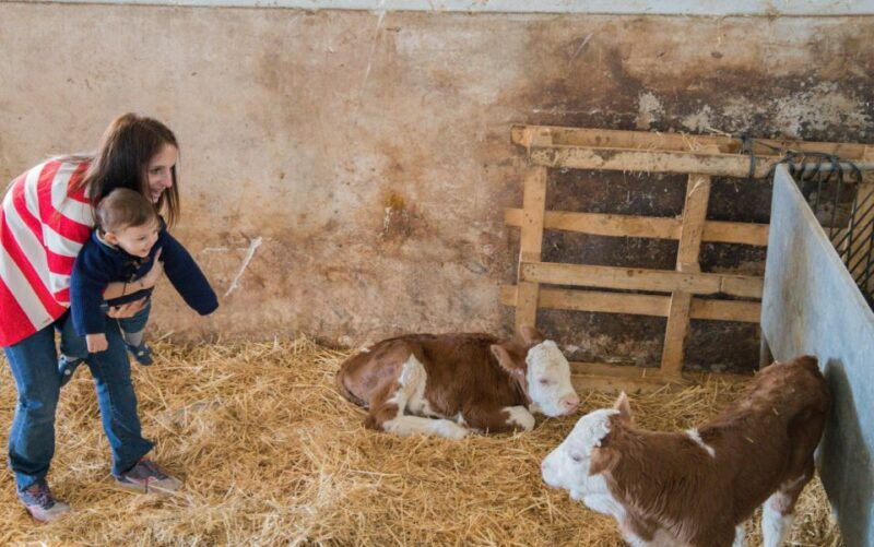 martina-franca-e-bike-tour-and-visit-to-a-breeding