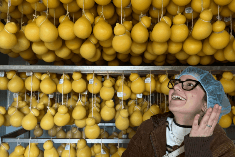martina-franca-mozzarella-and-pasta-workshop-with-farm-tour