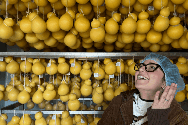 martina-franca-mozzarella-and-pasta-workshop-with-farm-tour