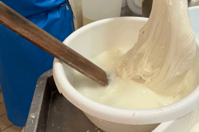 martina-franca-mozzarella-and-pasta-workshop-with-farm-tour