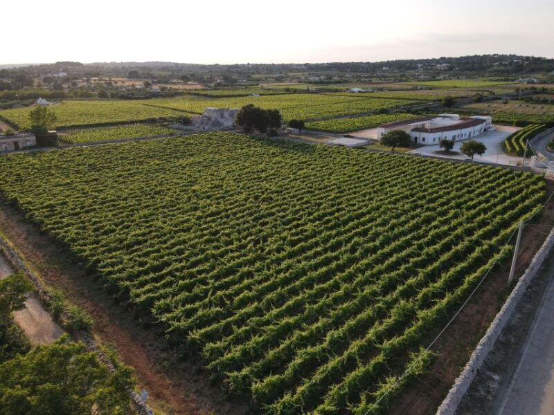 martina-franca-wine-local-products-tasting