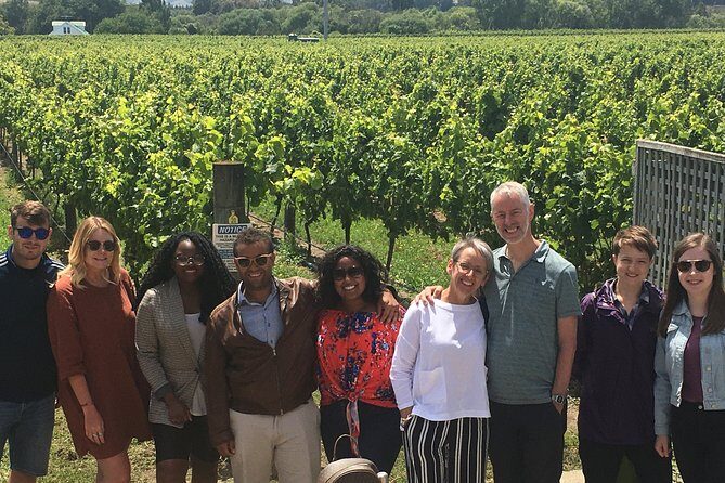 Martinborough Foodie Half Day Tour from Wellington - Price and Value Analysis