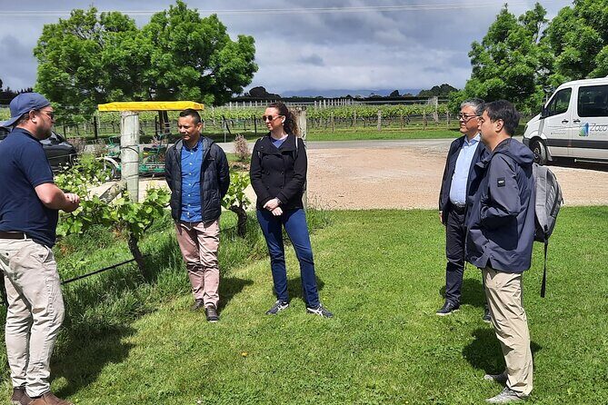 Martinborough Winery and Foodie Day Tour with vineyard lunch - Who Will Love This Tour?