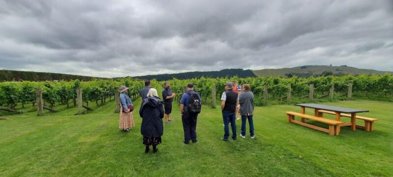 Martinborough Winery and South Wairarapa Wild Coast Tour - The Itinerary: What to Expect on this Full-Day Tour