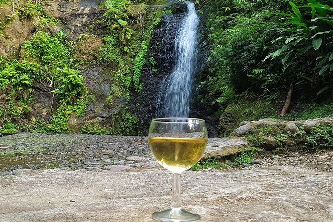 martinique-flavors-in-the-rainforest-and-st-pierre-pile-et-face