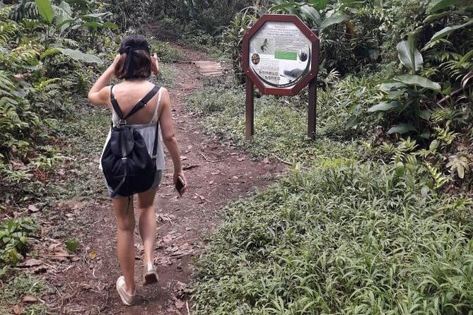 martinique-north-island-private-tour