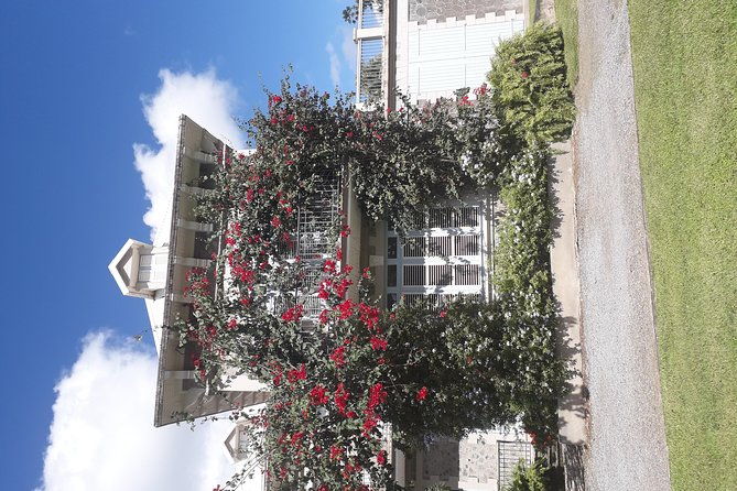 martinique-north-island-private-tour