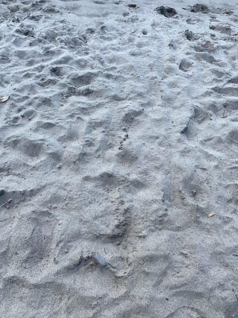 martinique-private-tour-with-local-guide